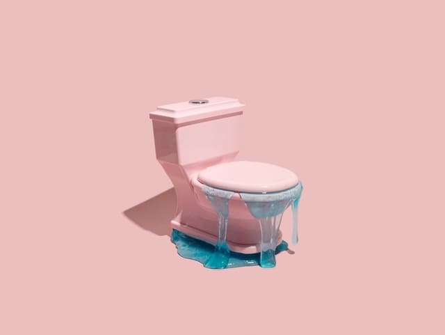 toilet